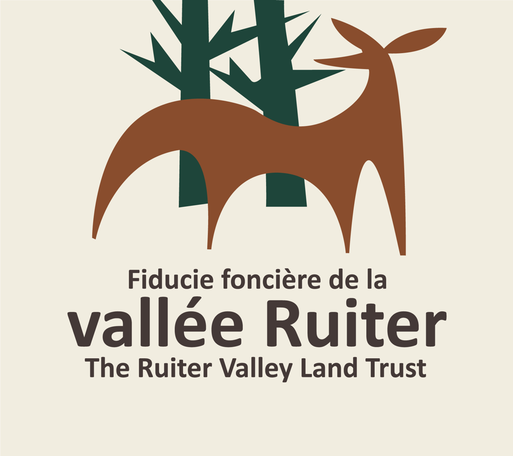 A graphic logo of a brown deer silhouette and green trees.