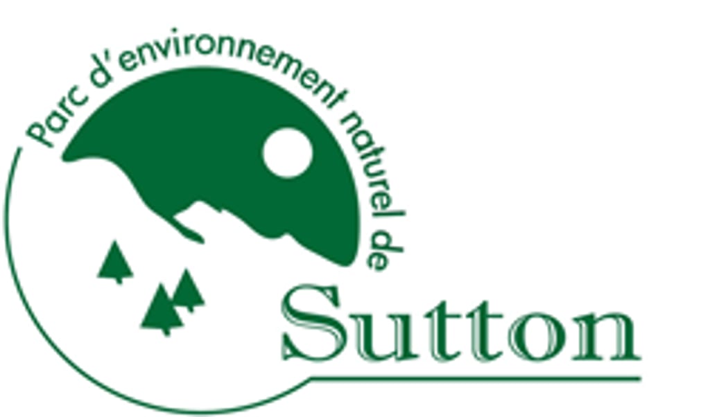 A green logo depicting a landscape with mountains, a sun, and three pine trees.