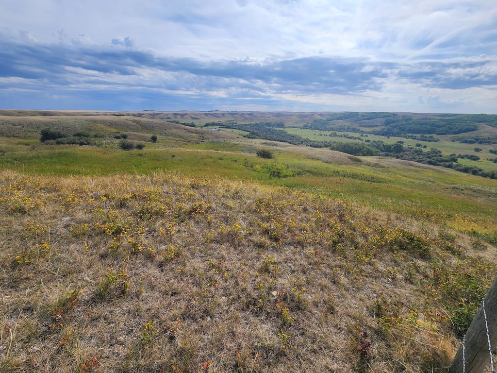Rolling hills of grassland under a cloudy sky.
