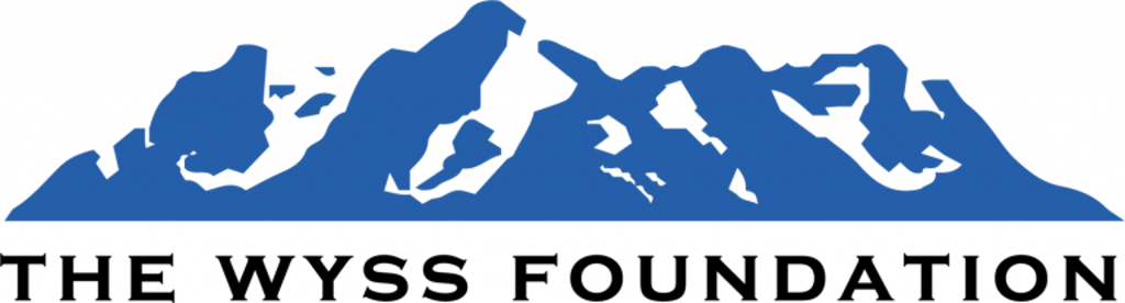 A blue silhouette of a mountain range.