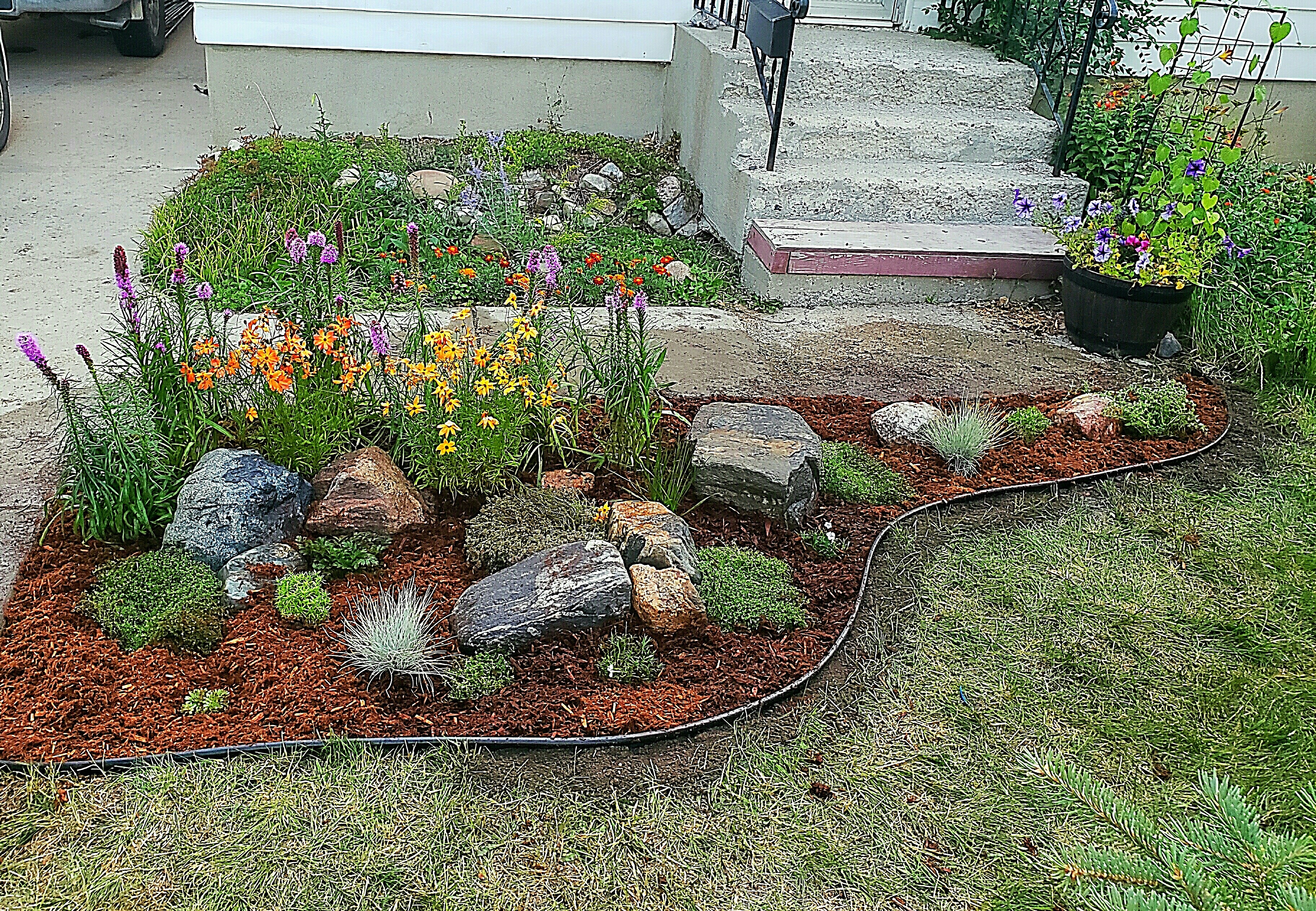 https://cdn.natureconservancy.ca/production/image/Lawn-conversion-to-flower-bed_Sarah-Ludlow.jpg