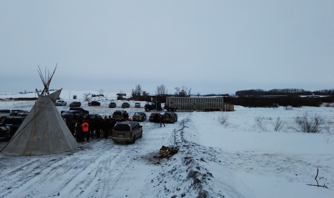 https://cdn.natureconservancy.ca/production/image/Members-of-The-Key-First-Nation-awaiting-release-of-Plains-bison-to-their-lands-Photo-by-Parks-Canada.jpg