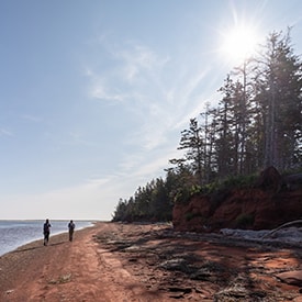 Kwesawe'k (Oultons Island), PEI (Photo Stephen DesRoches)