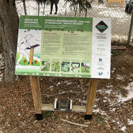 Dans des endroits comme le milieu humide de Lincoln près de Fredericton (N.-B,), CNC a mis à la disposition des visiteurs et visiteuses des brosses à bottes, qui sont un moyen efficace de déloger toutes graines d’espèces envahissantes potentielles avant de s’aventurer dans les sentiers ou de quitter le site. (Photo Jennifer White/CNC)